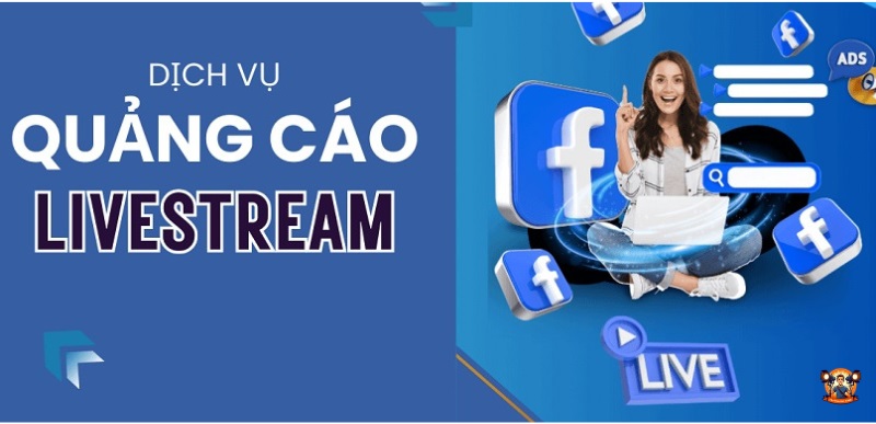Quảng cáo trả phí trên nền tảng