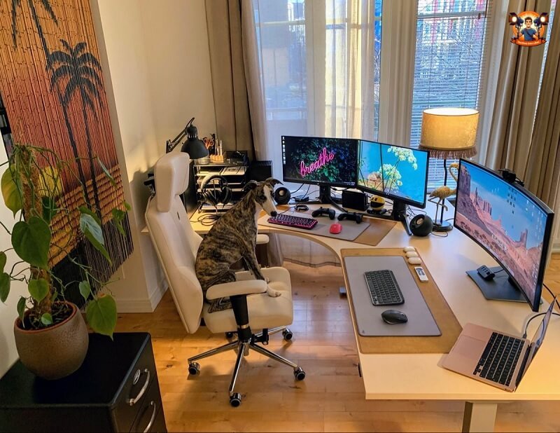Ưu điểm khi setup Livestream chứng khoán