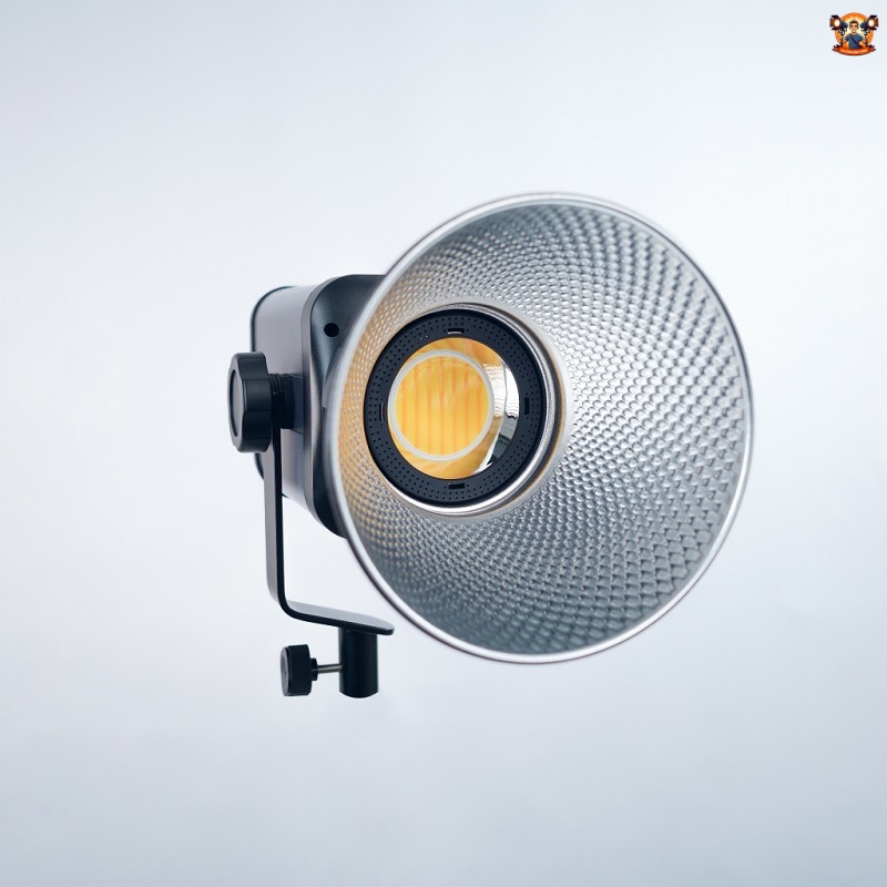 So sánh đèn Marklive 100x và Godox Litemons LA200D
