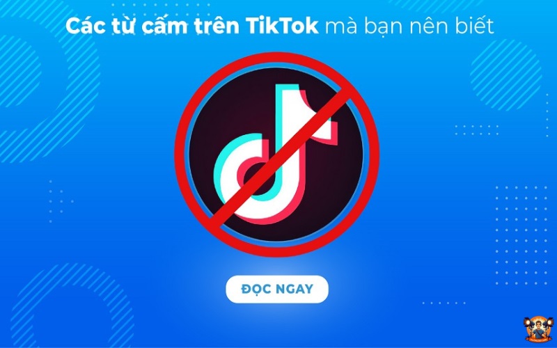Kinh nghiệm Live Tiktok không bị cấm